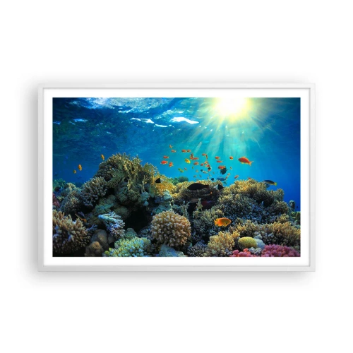 Plakat w białej ramie - Podwodne skarby - 91x61 cm