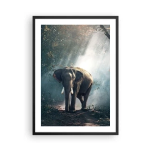 Plakat w czarnej ramie - Słoń w promieniach słońca w gęstym lesie - 50x70cm - Spokojna przechadzka - Nowoczesna dekoracja ścienna do salonu i sypialni ARTTOR