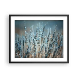 Plakat w czarnej ramie - Pachnący łan - 50x40 cm