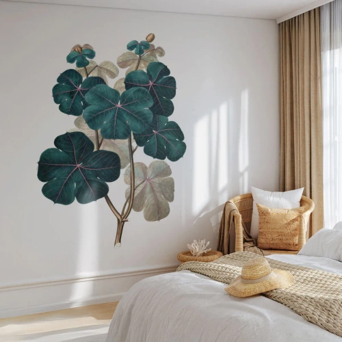 Fototapeta Premium Sand - Ilustracja botaniczna z zielonymi liśćmi na białym tle - 100x70cm - Ze starego zielnika - Nowoczesna dekoracja ścienna do salonu, kuchni i sypialni ARTTOR