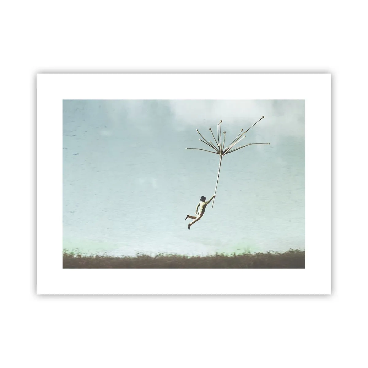 Plakat - Latawce, dmuchawce, wiatr - 40x30 cm