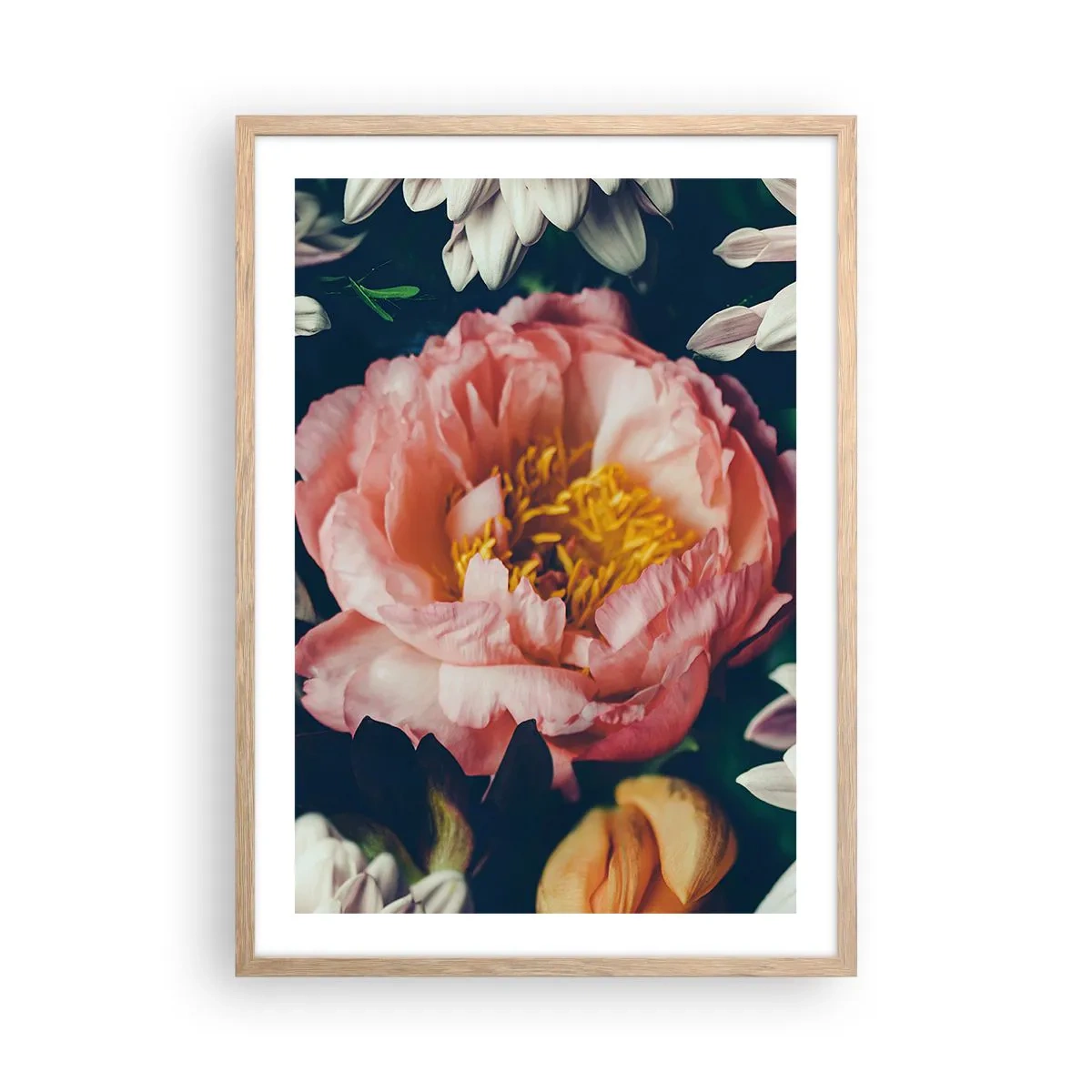 Plakat w ramie jasny dąb - Z barokowym przepychem - 50x70 cm