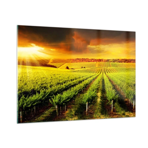 Obraz na szkle - Winnica w świetle zachodzącego słońca - 100x70cm - Pod australijskim słońcem - Nowoczesna dekoracja ścienna do salonu, kuchni i sypialni ARTTOR