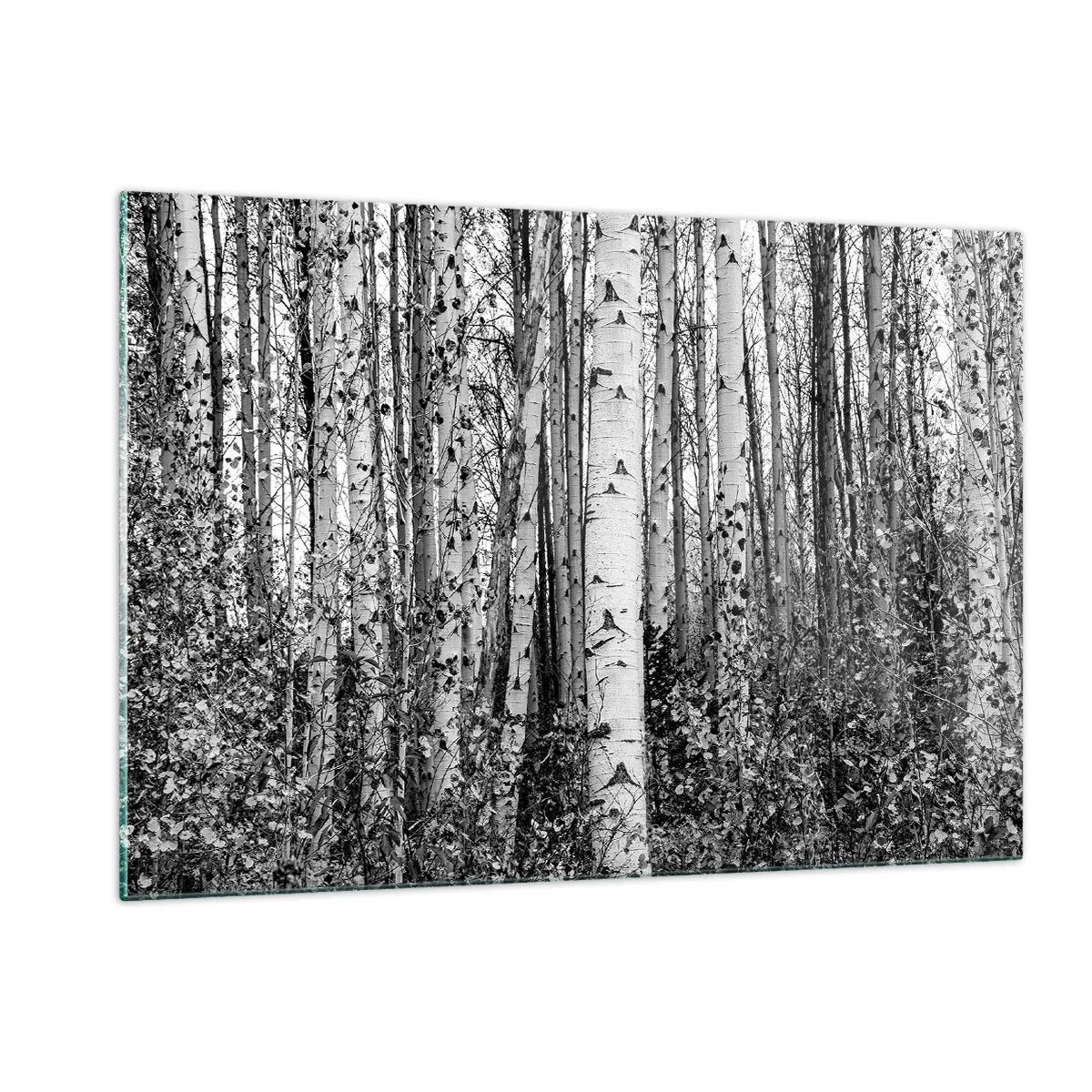 Obraz na szkle - Czarno-białe brzozy tworzące gęsty, leśny krajobraz - 120x80cm - Brzozowa kolumnada - Nowoczesna dekoracja ścienna do salonu, kuchni i sypialni ARTTOR