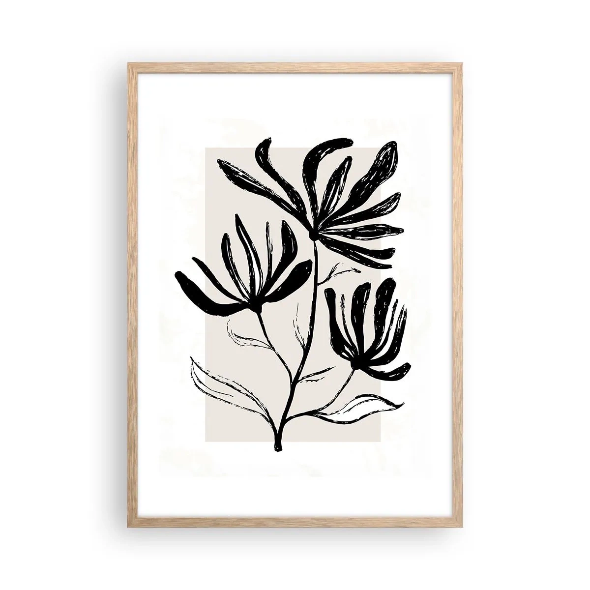 Plakat w ramie jasny dąb - Szkic do zielnika - 50x70 cm