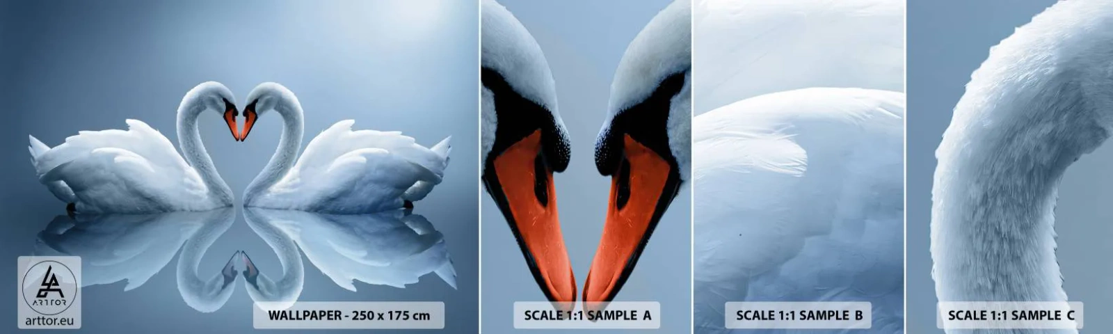 Fototapeta Próbka Standard Eco - Czas na miłość - Łabędzie, Miłość, Serce - 100x30 cm