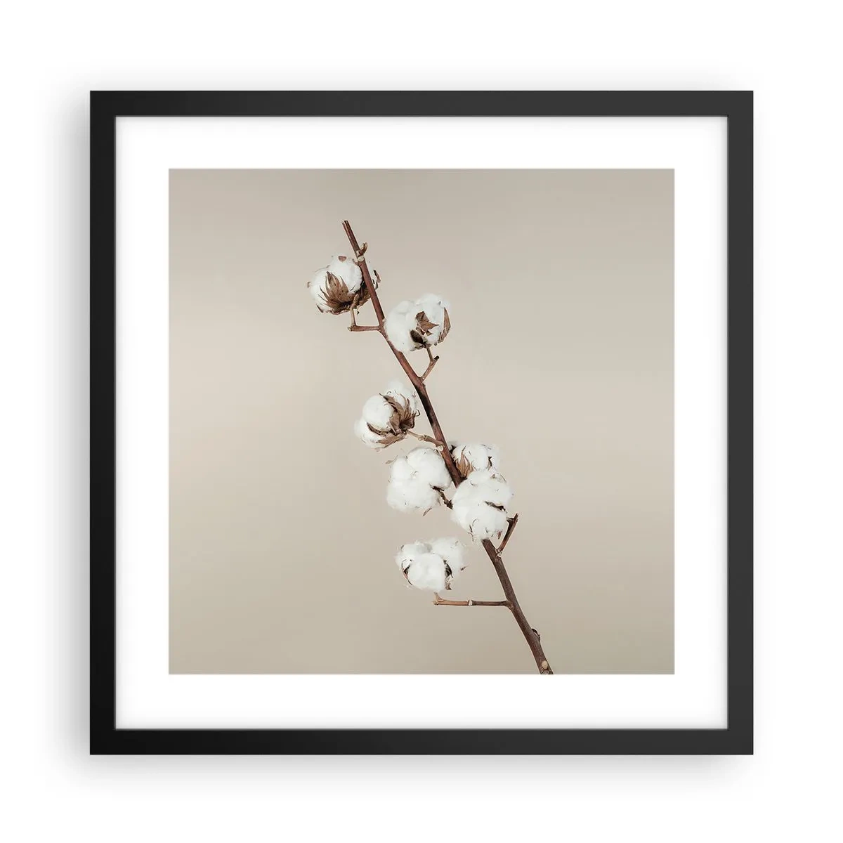 Plakat w czarnej ramie - U źródła miękkości - 40x40 cm