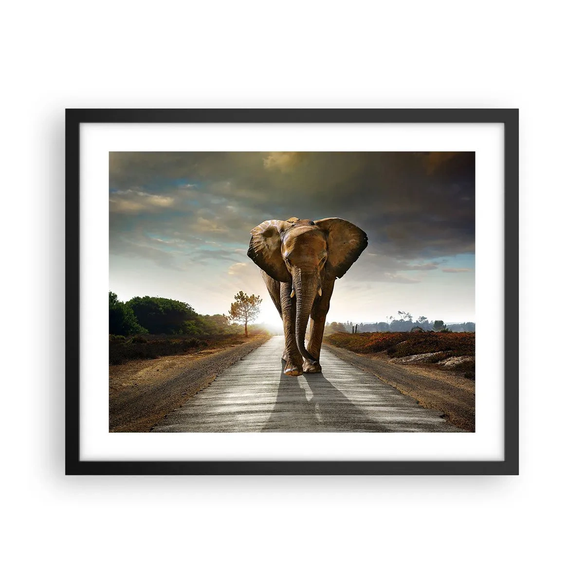 Plakat w czarnej ramie - I wcale nie w składzie porcelany - 50x40 cm