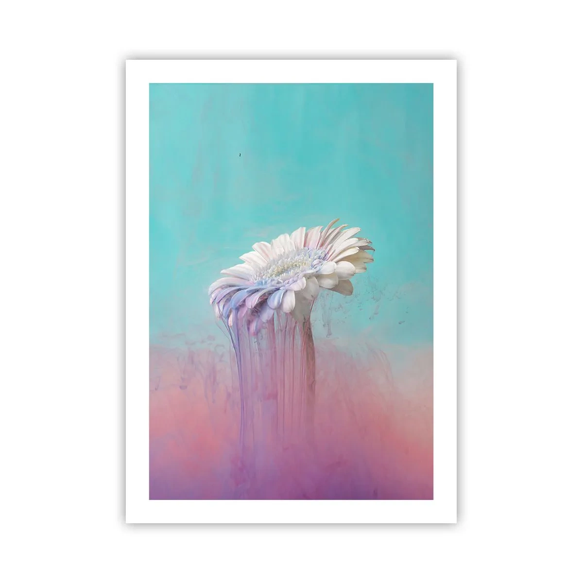 Plakat - Biała gerbera z kolorowymi smugami na pastelowym tle - 50x70cm - Zaświaty kwiatów - Nowoczesna dekoracja ścienna do salonu, kuchni i sypialni ARTTOR
