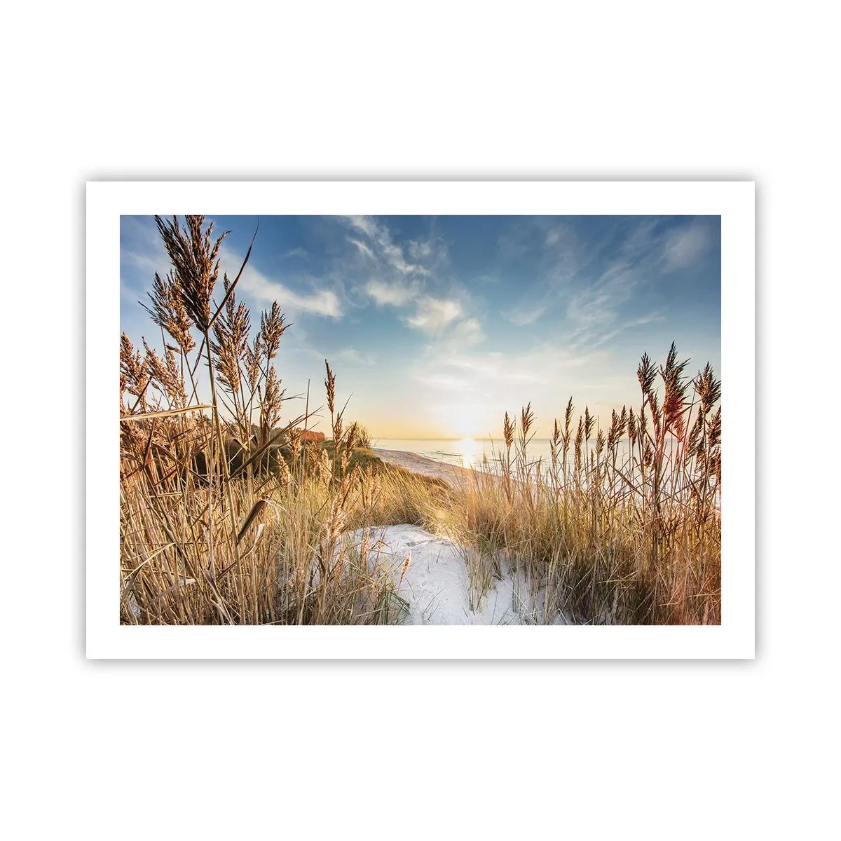 Plakat - Północna plaża - 70x50 cm