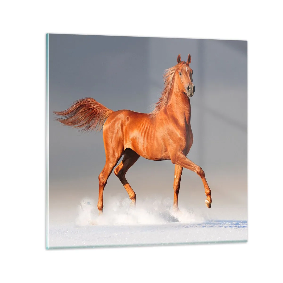 Obraz na szkle - Tańcząca gracja - 50x50 cm