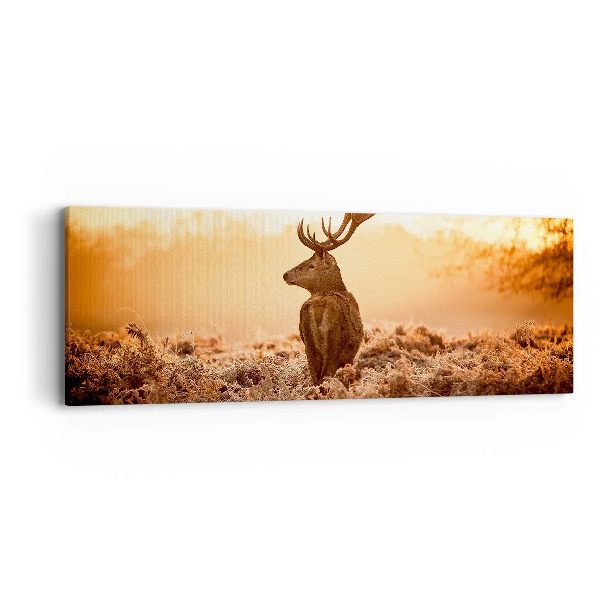 Obraz na płótnie - Pan na włościach - 90x30 cm