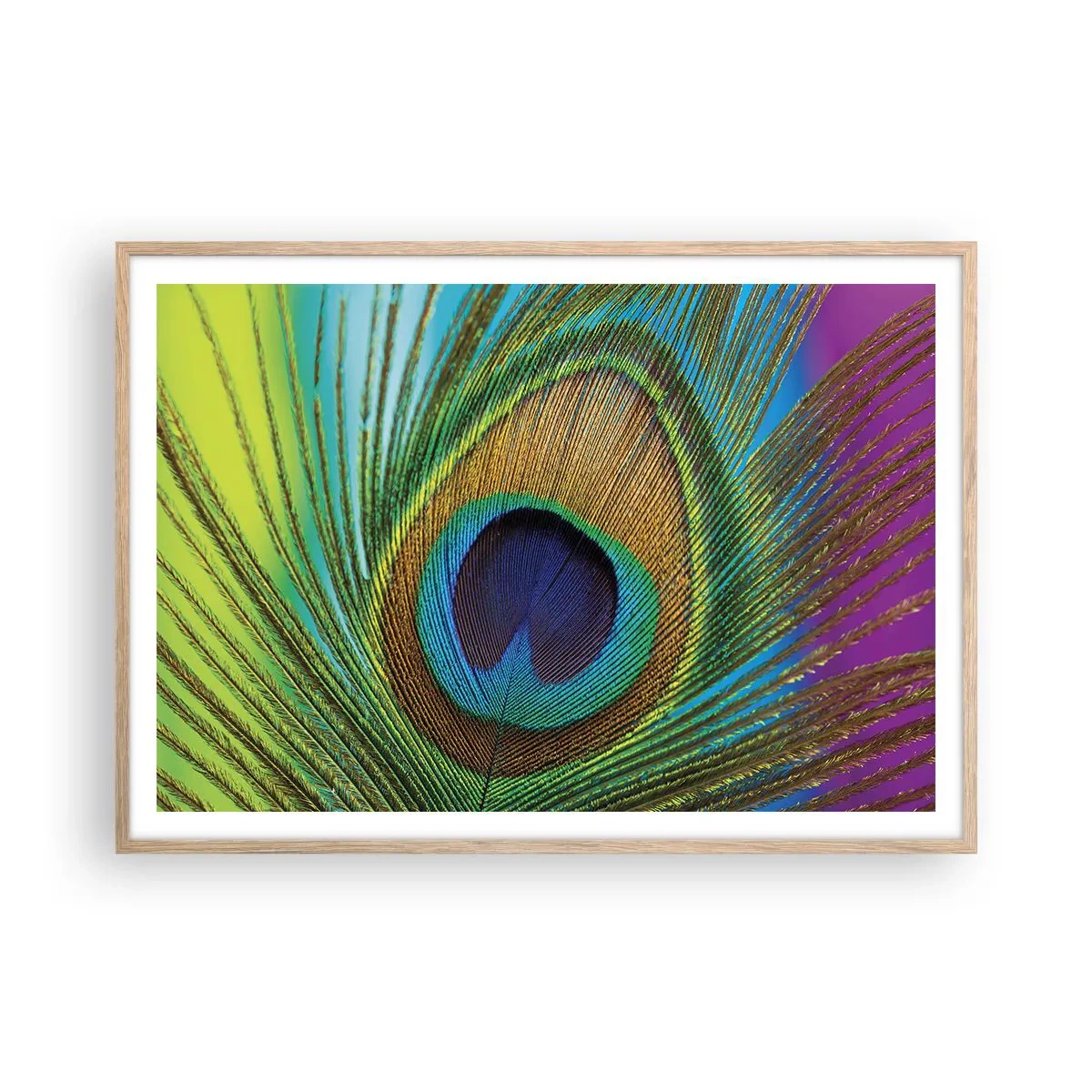 Plakat w ramie jasny dąb - Oko w oko - 100x70 cm