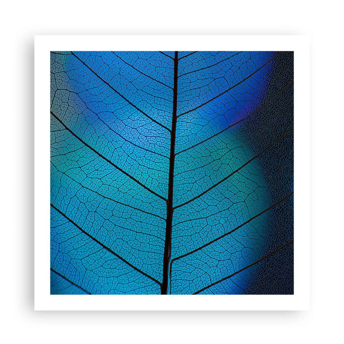 Plakat - Misterna budowa - 60x60 cm