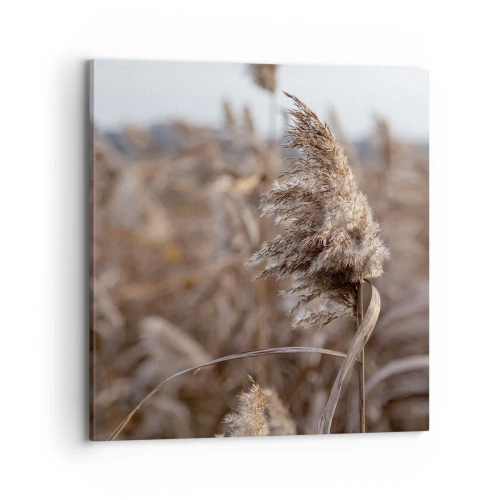 Obraz na płótnie - Czas odlecieć z wiatrem - 70x70 cm