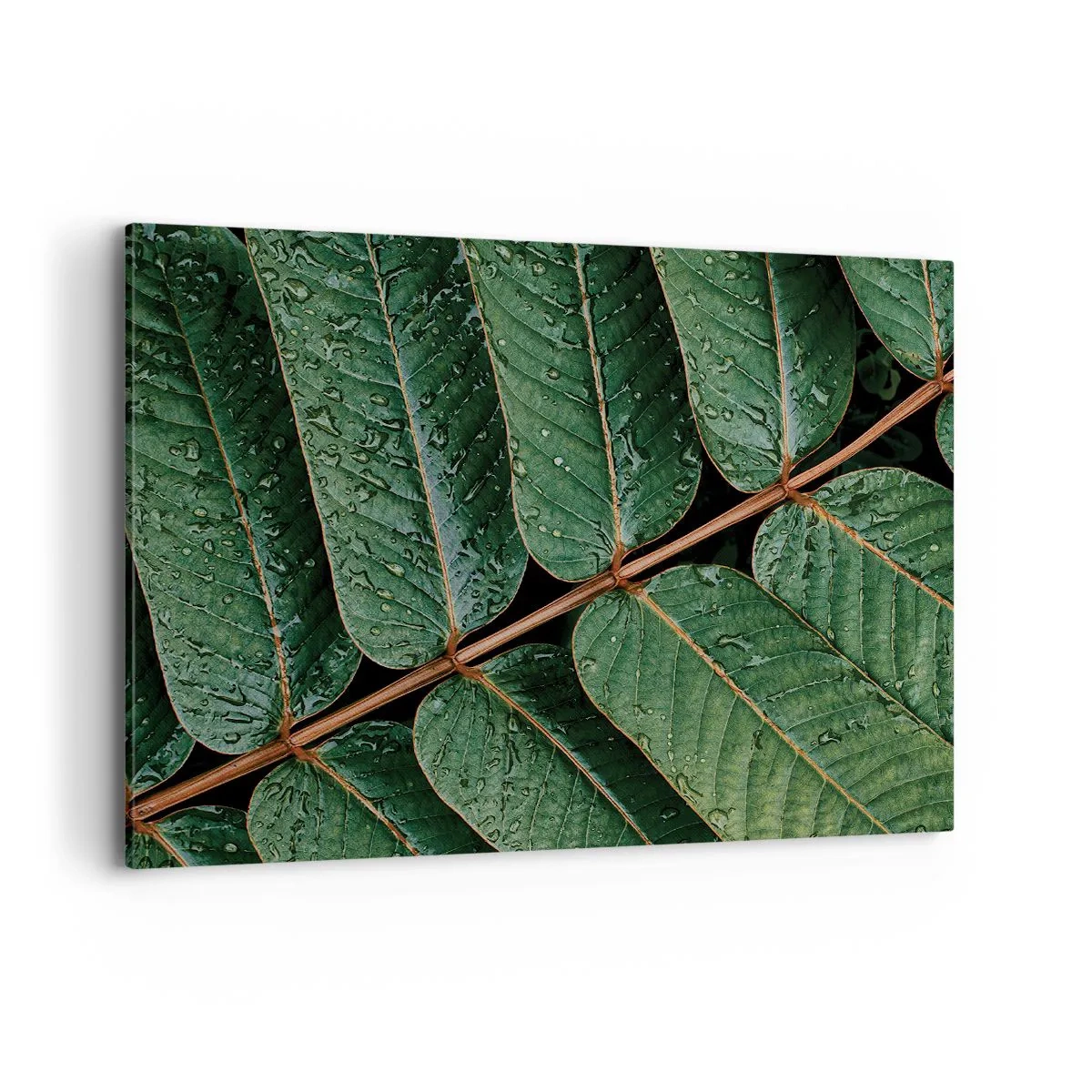 Obraz na płótnie - Zielone liście z kroplami rosy w makro ujęciu - 100x70cm - W zielonym rytmie - Nowoczesna dekoracja ścienna do salonu, kuchni i sypialni ARTTOR