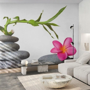 Fototapeta Premium Sand - Kolory życia i trwania - Kwiat, Kamienie, Spa - 400x280 cm