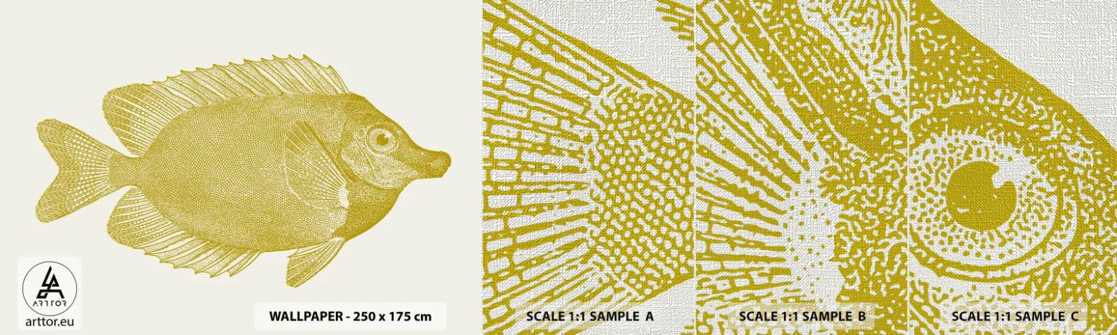 Fototapeta Próbka Premium Canvas - Ryba i tyle - Ryba, Nadmorski, Zwierzę - 100x30 cm