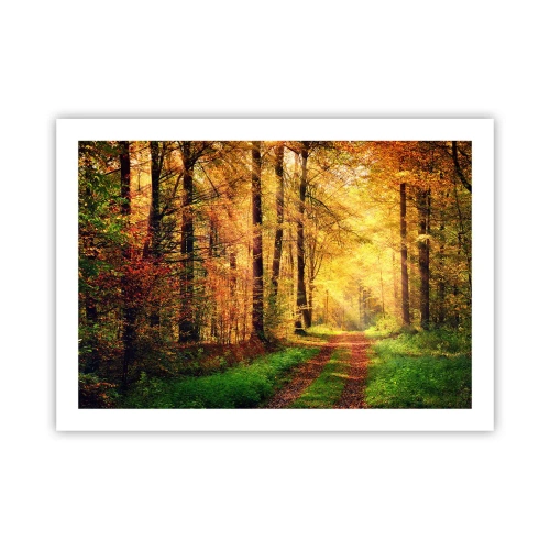 Plakat - Leśno-złota cisza - 70x50 cm