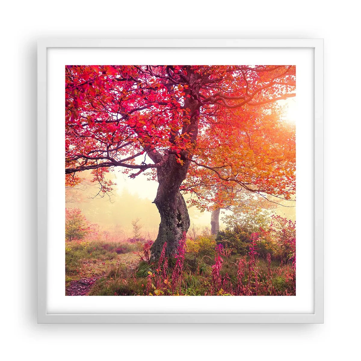 Plakat w białej ramie - Szał rozkwitu - 50x50 cm