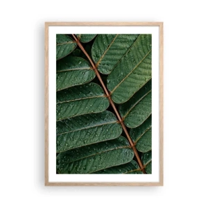 Plakat w ramie jasny dąb - W zielonym rytmie - 50x70 cm