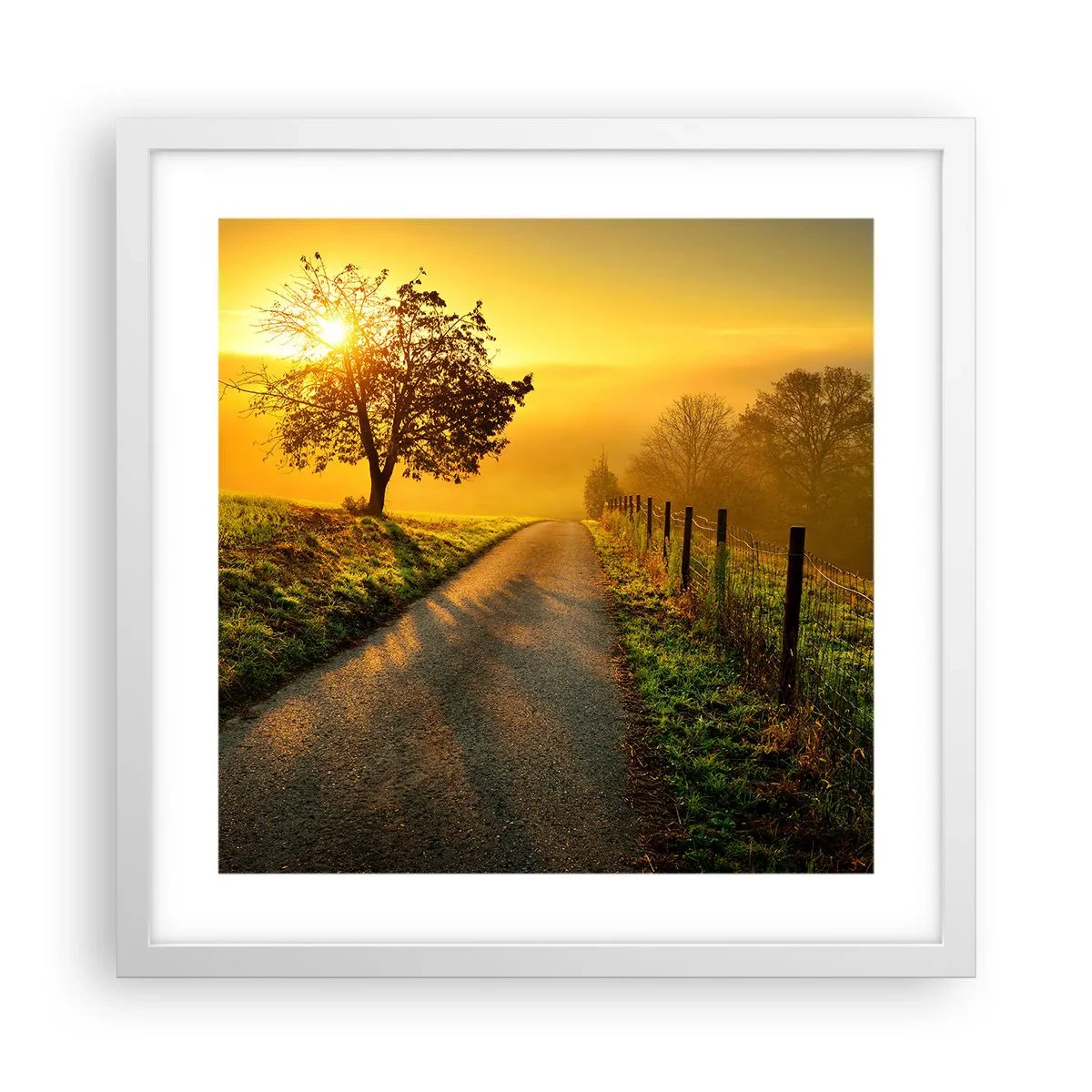 Plakat w białej ramie - Miodne popołudnie - 40x40 cm