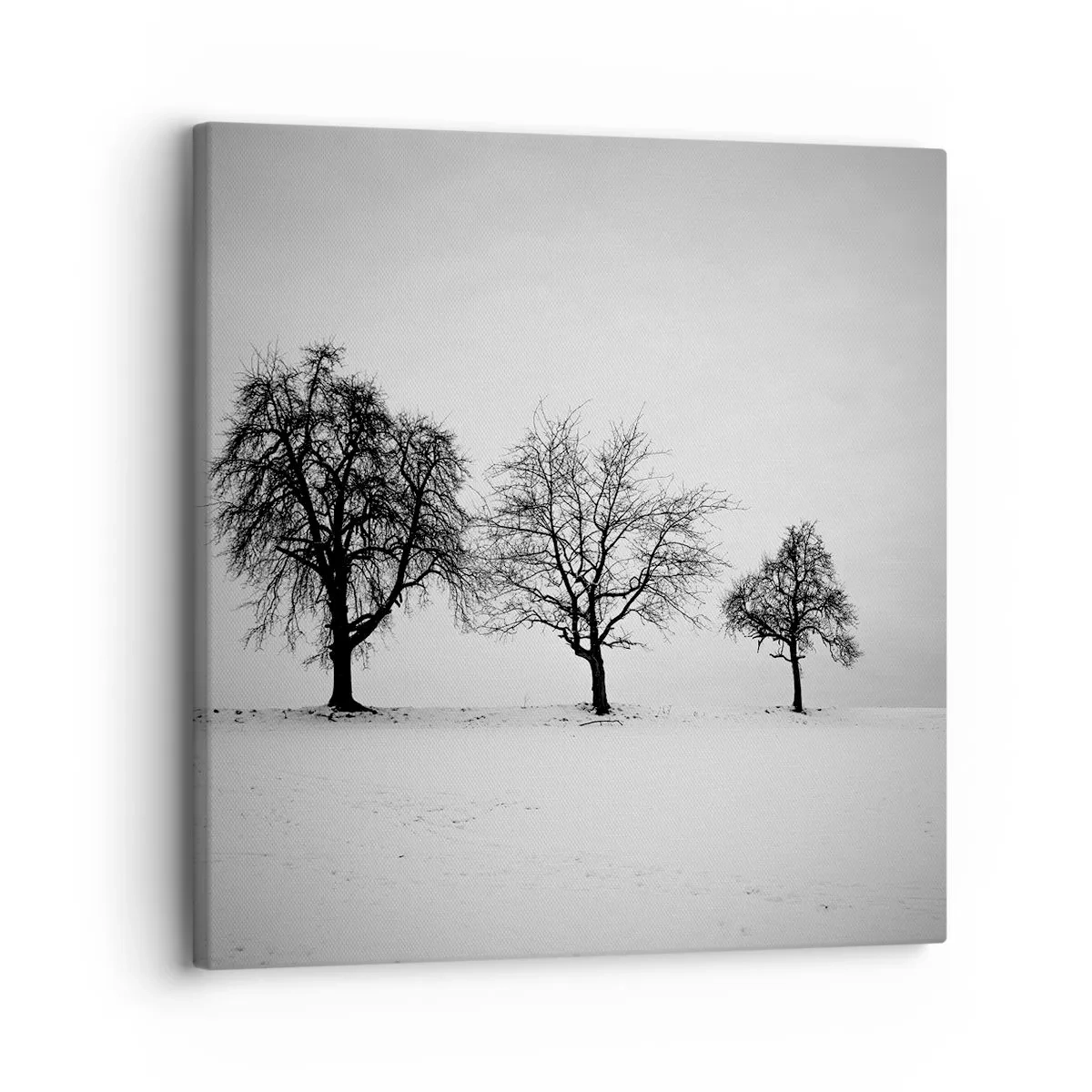 Obraz na płótnie - O czym śnią? - 30x30 cm