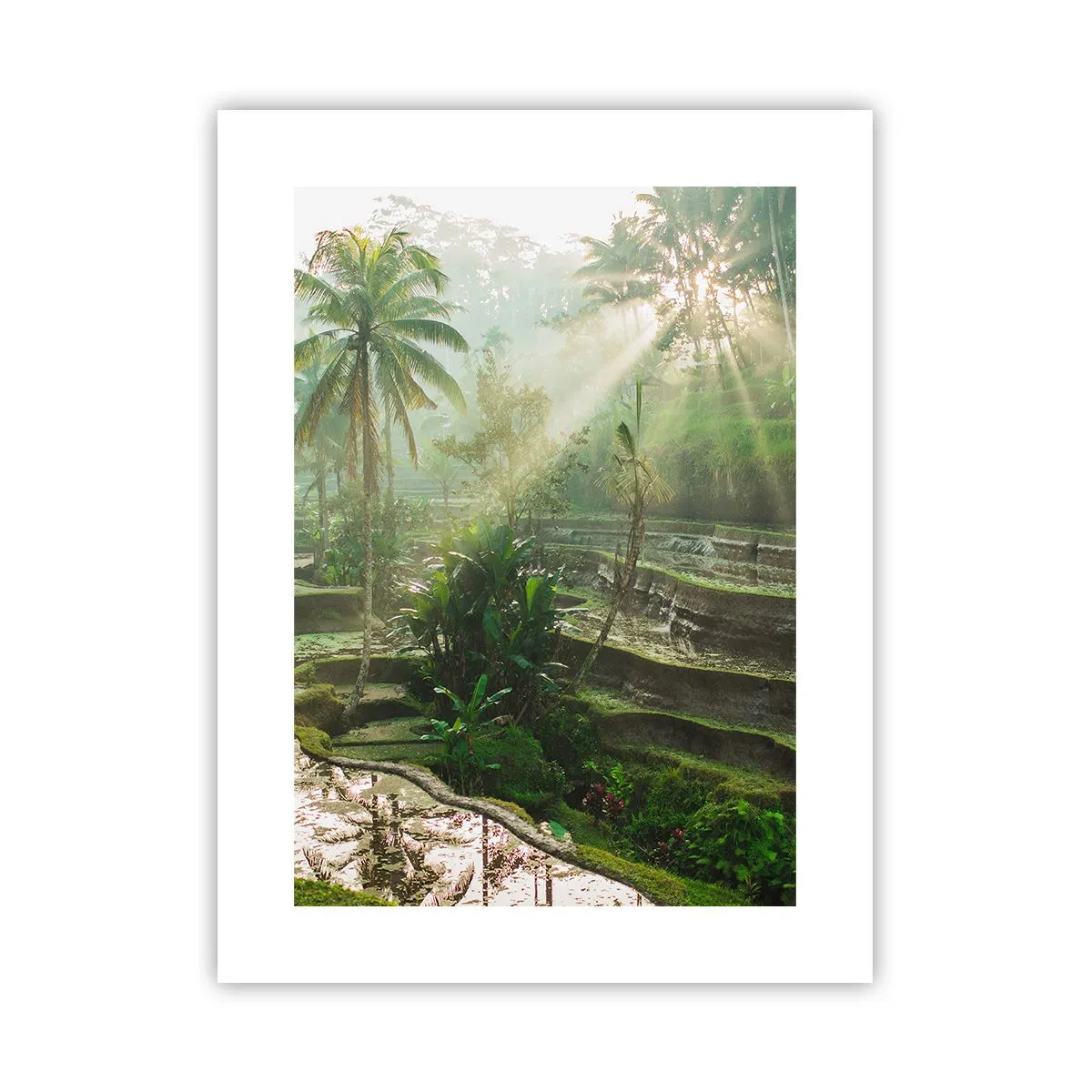 Plakat - Dorastać w słońcu - 30x40 cm