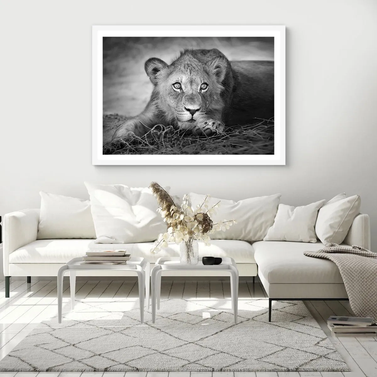 Plakat w białej ramie - Królewskie szczenię - 70x50 cm