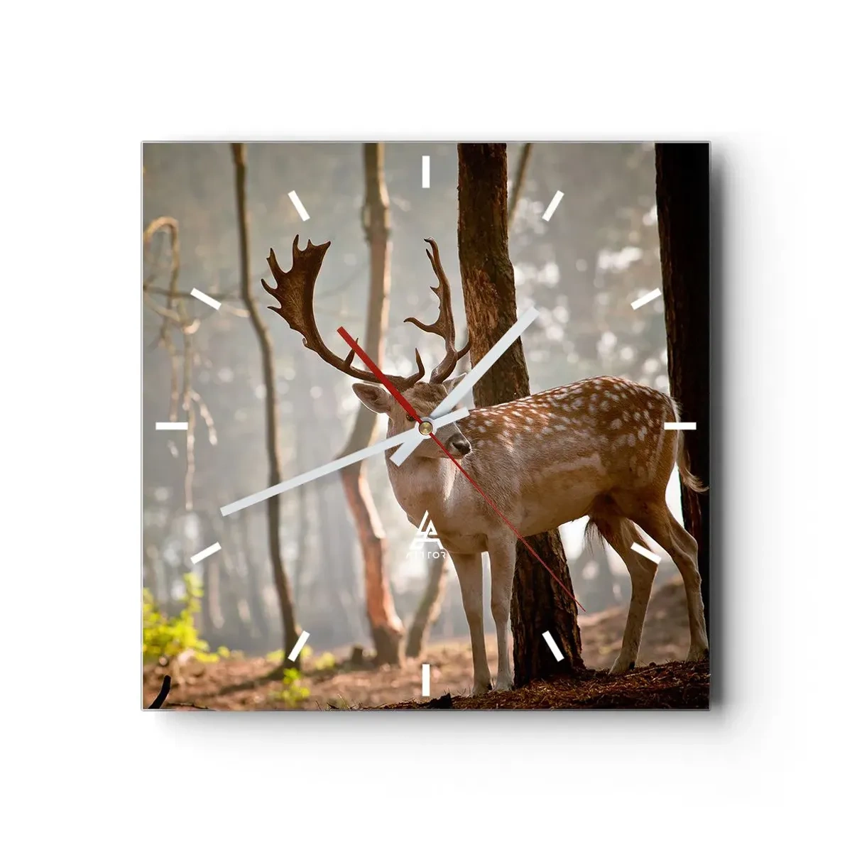 Zegar ścienny - Światło młodości - 40x40 cm