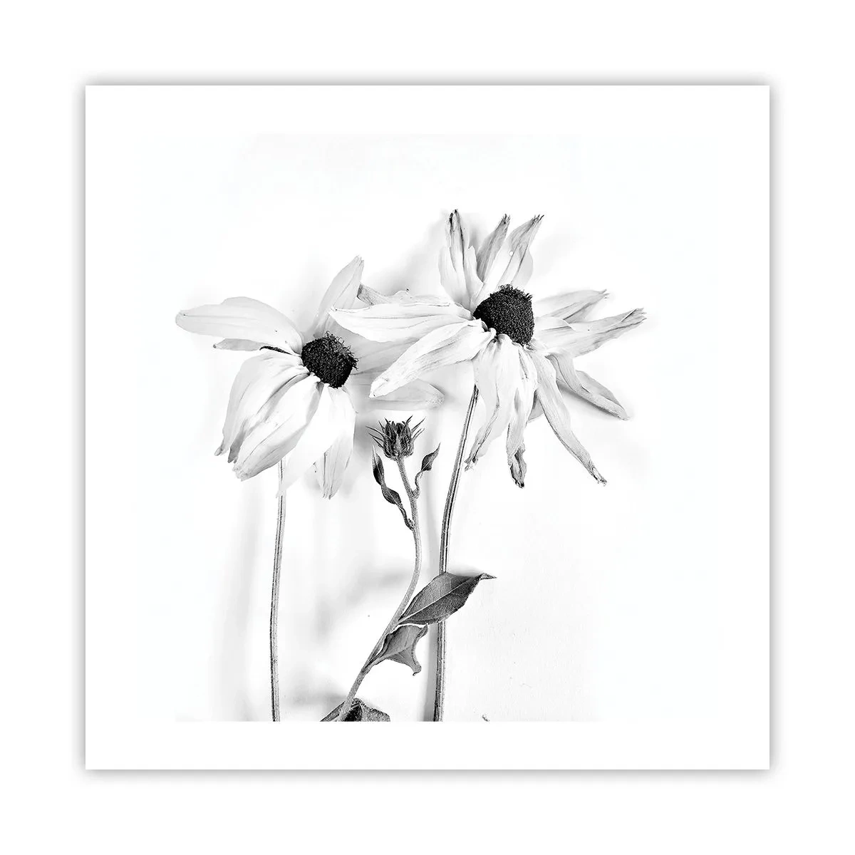 Plakat - Nikt nie chce być sam - 50x50 cm