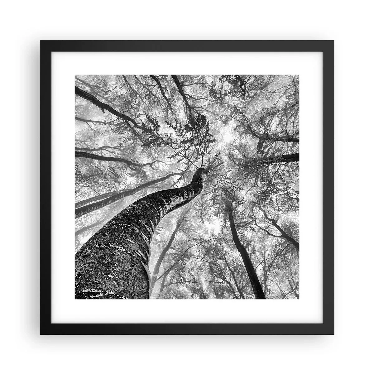 Plakat w czarnej ramie - Wyścig do światła - 40x40 cm