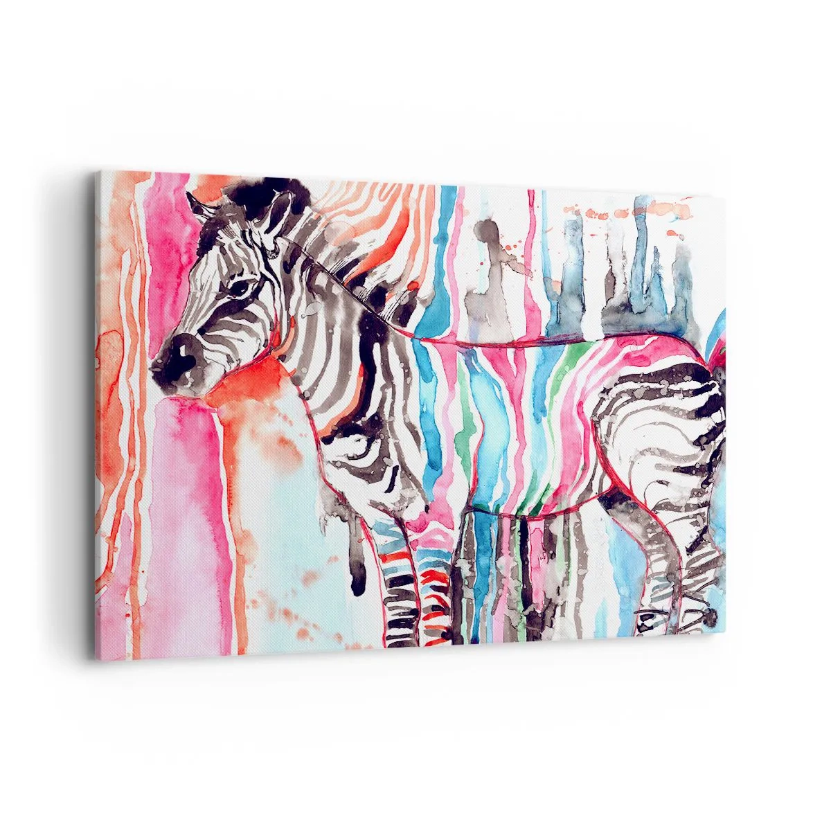 Obraz na płótnie - Kolorowa zebra na tle abstrakcyjnych akwarelowych wzorów - 100x70cm - Beztroski żart natury - Nowoczesna dekoracja ścienna do salonu, kuchni i sypialni ARTTOR