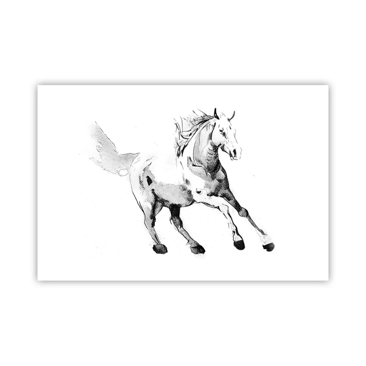 Plakat - Nieujarzmiona dusza - 91x61 cm