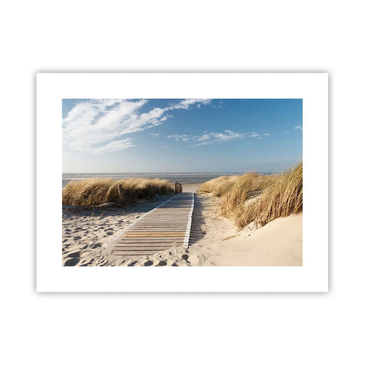 Plakat - Za wydmą, w szumie traw - 40x30 cm