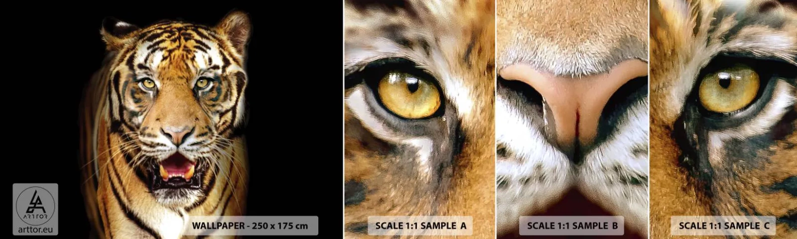 Fototapeta Próbka Samoprzylepna Deluxe Sticker - Dzikość serca - Zwierzęta, Tygrys, Drapieżnik - 100x30 cm