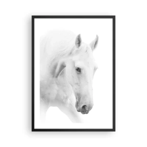 Plakat w czarnej ramie - Portret białego konia w minimalistycznym stylu - 50x70cm - Czy to jest przyjaźń…? - Nowoczesna dekoracja ścienna do salonu i sypialni ARTTOR