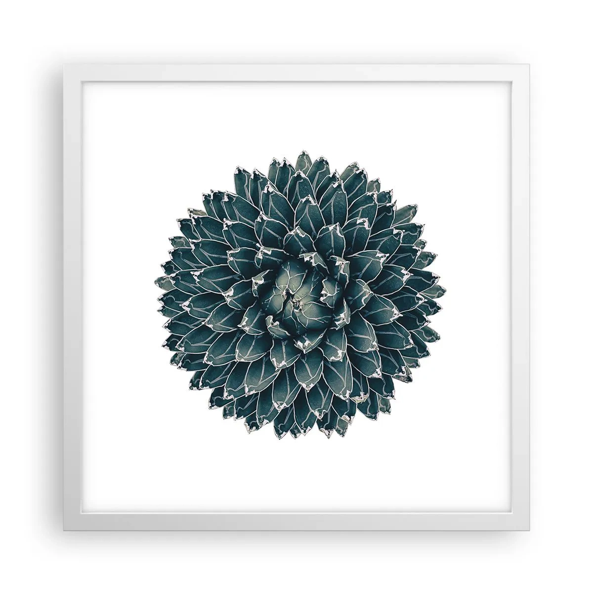 Plakat w białej ramie - Gwiazda pustyni - 40x40 cm