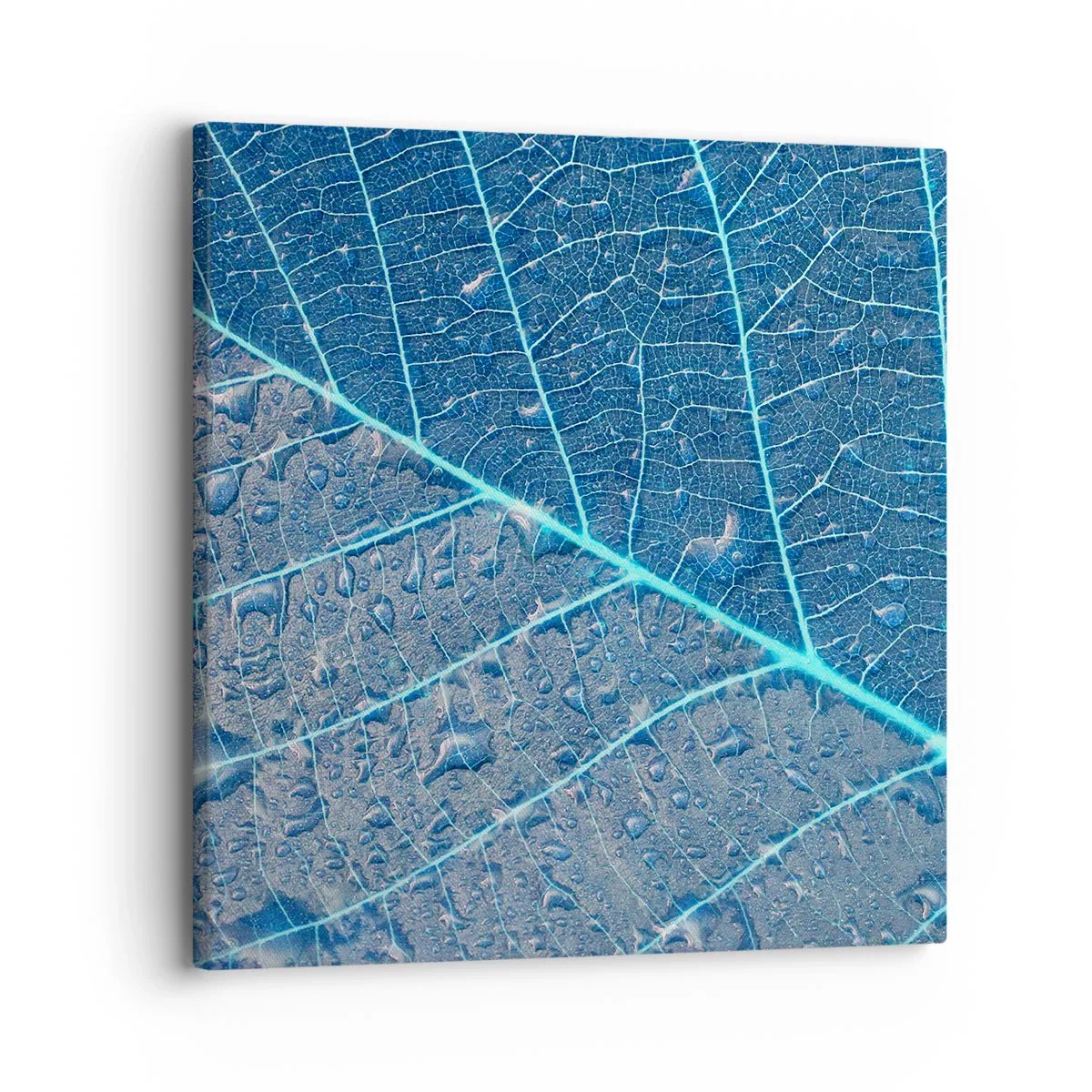 Obraz na płótnie - Życie w błękicie - 30x30 cm