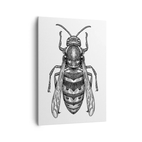 Obraz na płótnie - Czarno-biała ilustracja osy w stylu vintage - 50x70cm - Z owadziej planety - Nowoczesna dekoracja ścienna do salonu, kuchni i sypialni ARTTOR