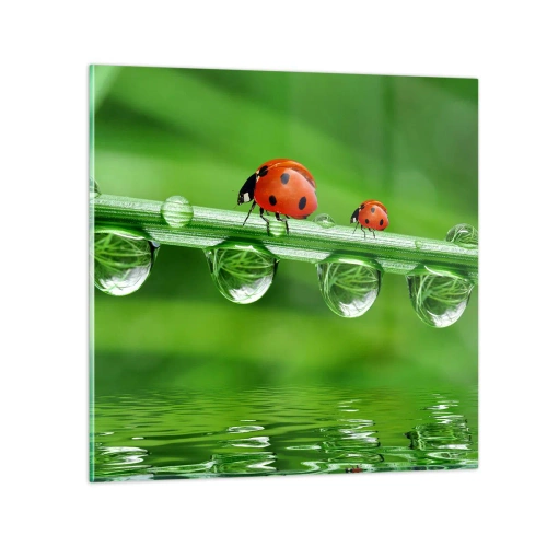 Obraz na szkle - W drodze całe lato - 40x40 cm