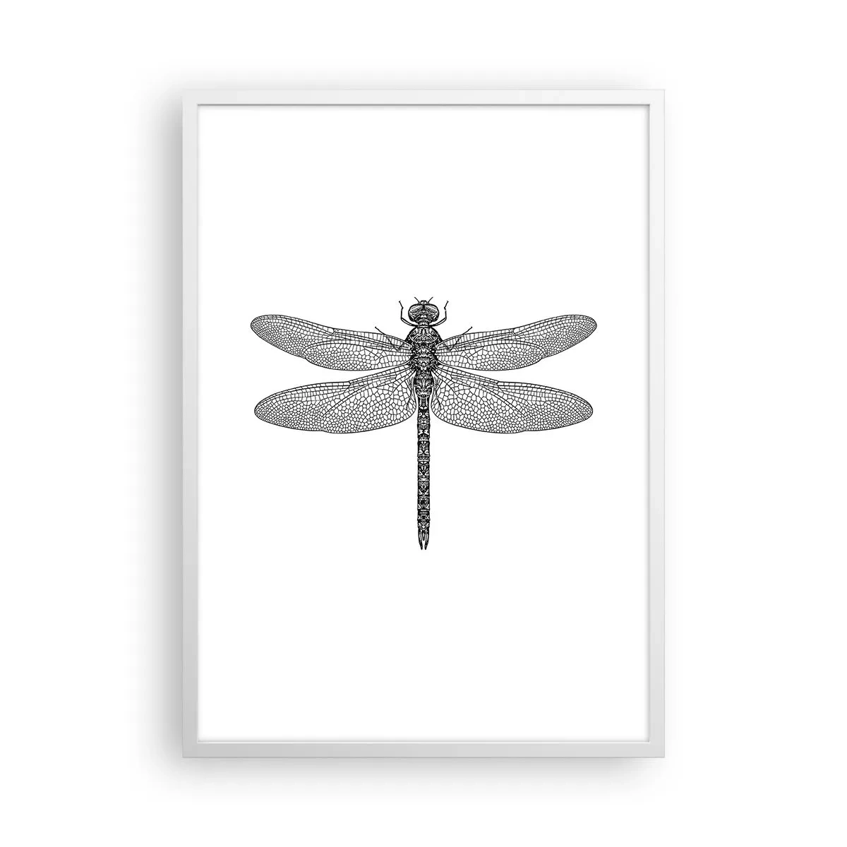 Plakat w białej ramie - Precyzja natury - 50x70 cm