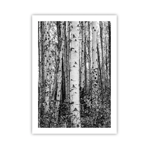 Plakat - Czarno-białe brzozy tworzące symetryczny las - 50x70cm - Brzozowa kolumnada - Nowoczesna dekoracja ścienna do salonu, kuchni i sypialni ARTTOR