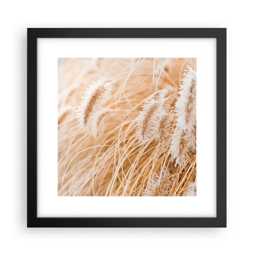 Plakat w czarnej ramie - Złoty szelest traw - 30x30 cm