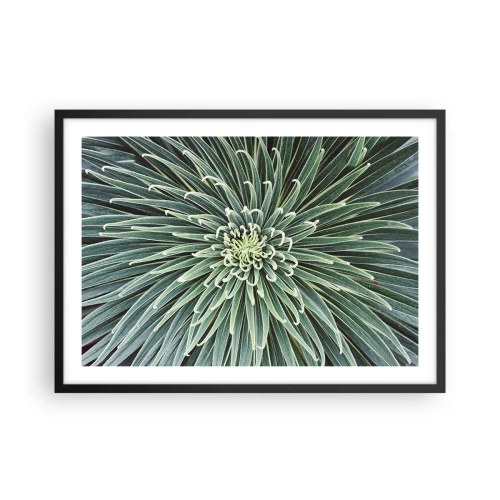 Plakat w czarnej ramie - Symetryczny układ zielonych liści przypominający gwiazdę - 70x50cm - Narodziny gwiazdy - Nowoczesna dekoracja ścienna do salonu i sypialni ARTTOR