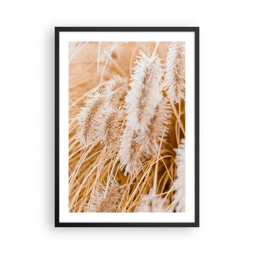 Plakat w czarnej ramie - Delikatne kłosy traw w pastelowych odcieniach beżu - 50x70cm - Złoty szelest traw - Nowoczesna dekoracja ścienna do salonu i sypialni ARTTOR