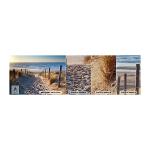 Fototapeta Próbka Premium Sand - Morza szum, ptaków śpiew, dzika plaża pośród traw… - Krajobraz, Plaża, Wydmy - 100x30 cm