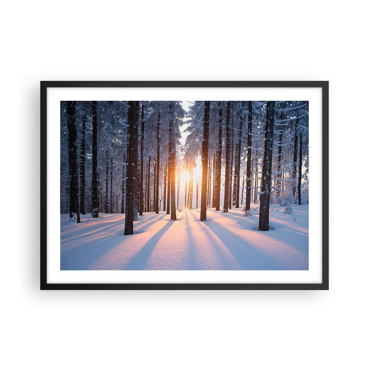 Plakat w czarnej ramie - Zimowy las oświetlony promieniami słońca - 70x50cm - Wyraźnie czarno na białym - Nowoczesna dekoracja ścienna do salonu i sypialni ARTTOR