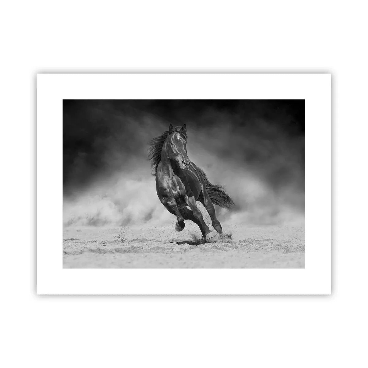 Plakat - Godny samego emira - 40x30 cm