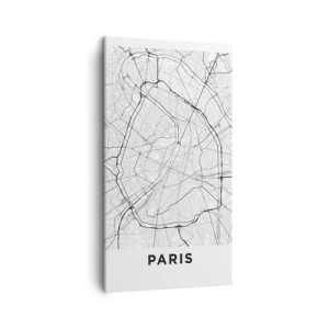 Obraz na płótnie - Kwiat Paryża - 45x80 cm